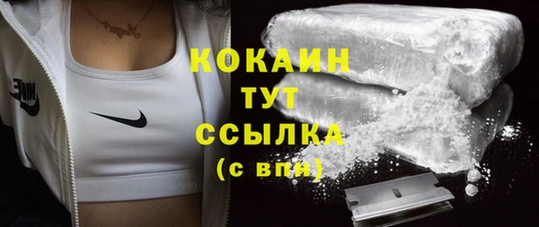хмурый Алексин