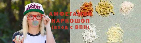хмурый Алексин