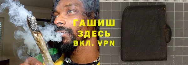 стаф Алзамай