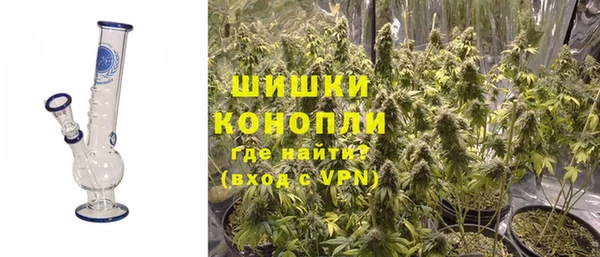 стаф Алзамай