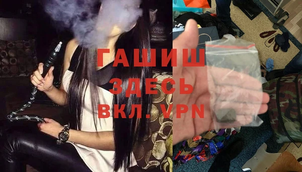 хмурый Алексин