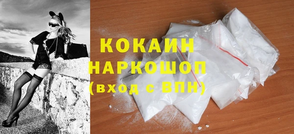 стаф Алзамай