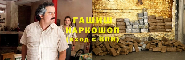 стаф Алзамай