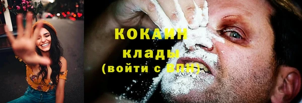 хмурый Алексин